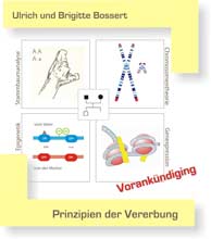 MODELLE - Visualisierung im Biologieunterricht